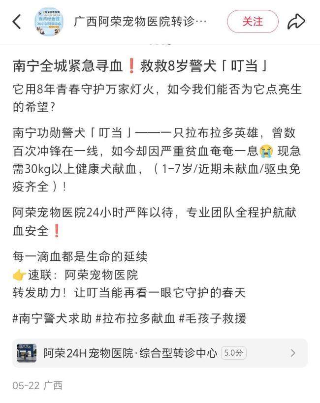 南寧寵物醫(yī)院為貧血警犬征血