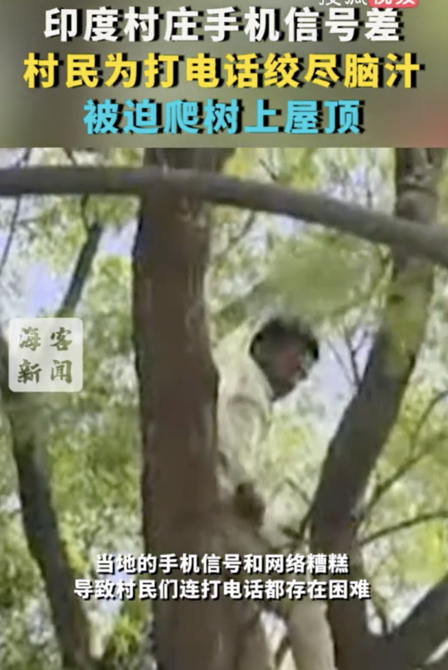 印度村民為打電話被迫爬樹上屋頂