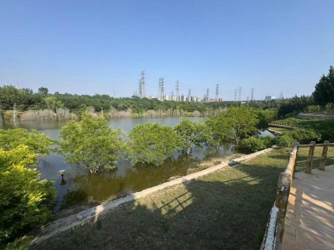 北京一公園部分綠地被淹