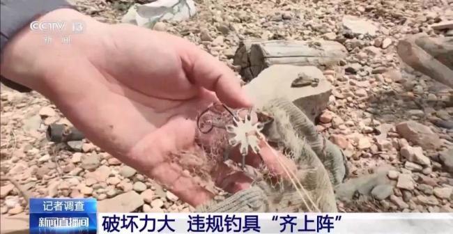 央視曝洞庭湖禁捕區(qū)變垂釣場(chǎng) 違規(guī)釣魚屢禁不止