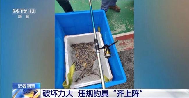 央視曝洞庭湖禁捕區(qū)變垂釣場(chǎng) 違規(guī)釣魚屢禁不止