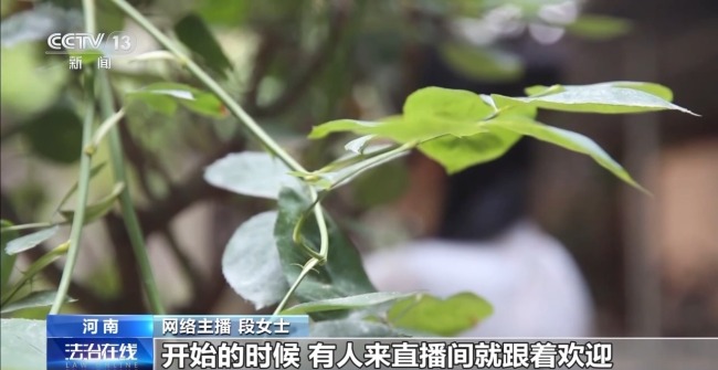 不擦边要赔50万？离家30年想继承遗产？法院判了