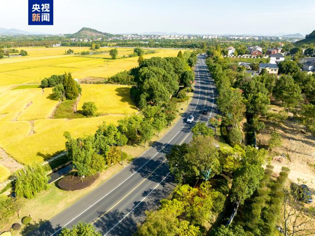 2024年全国"十大最美农村路"发布 哪条最让你心动
