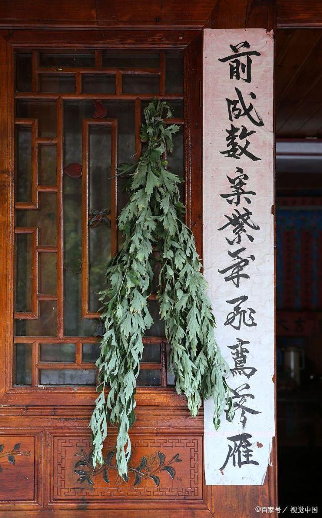 掛艾草的講究 端午習(xí)俗門道多