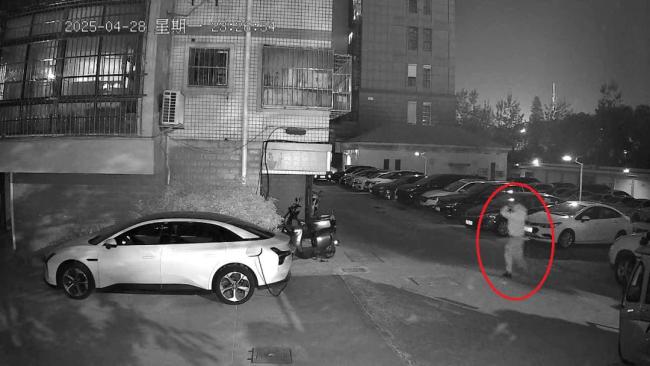 看到這種“面具”人臉需警惕 狡猾狐貍難逃獵手