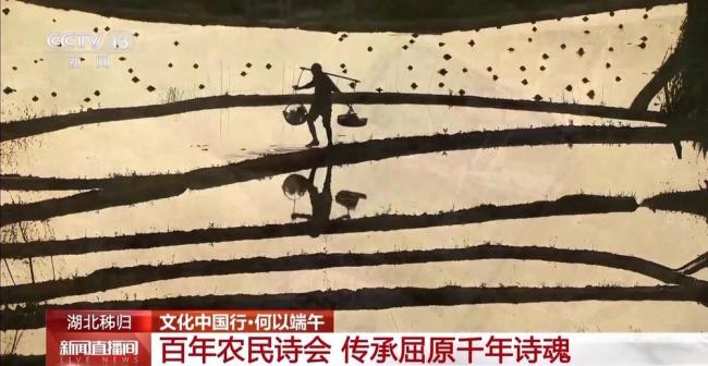 屈原的老家端午要過三次 三次端午的獨特慶祝