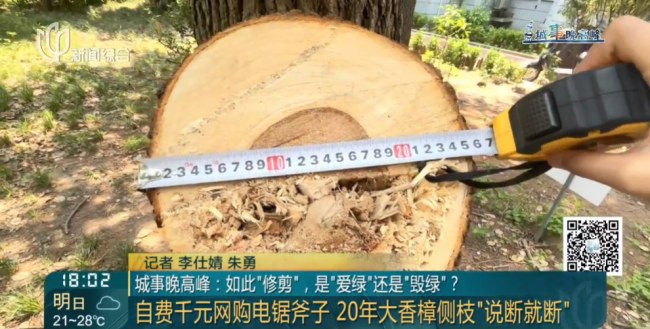 8旬老人砍掉小區(qū)20年香樟樹 私自修剪引發(fā)爭(zhēng)議