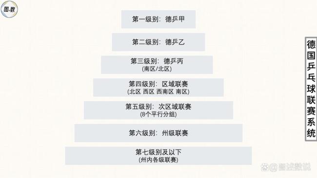 薩爾布呂肯達成歐冠三連冠 樊振東加盟助力