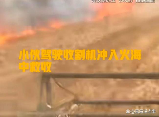 男子開(kāi)著收割機(jī)沖進(jìn)起火麥田搶收 新時(shí)代青年的責(zé)任擔(dān)當(dāng)