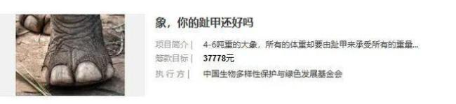 媒體追問(wèn)蔣雨融與綠發(fā)會(huì)誰(shuí)在說(shuō)謊 真相待解疑云重重