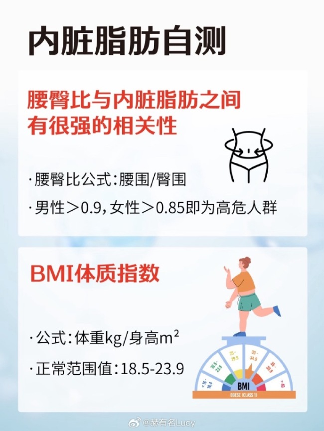 搞懂脂肪代谢 减脂先减内脏脂肪