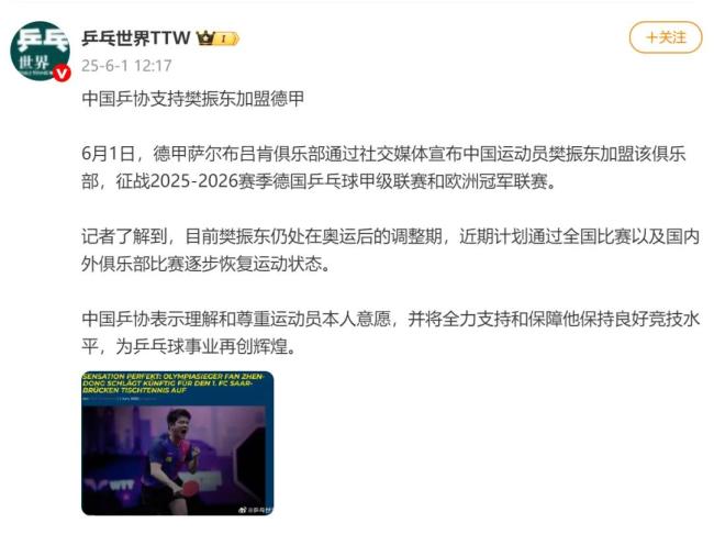 弗朗西斯卡回應(yīng)樊振東加盟 榮耀與期待并存