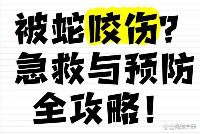 被毒蛇咬傷后如何自救 緊急步驟與預(yù)防措施
