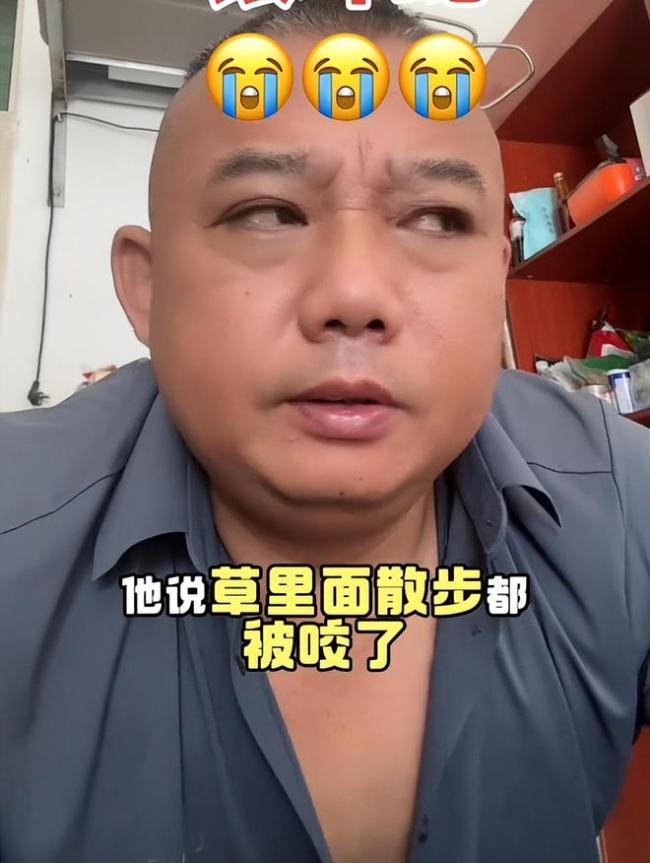 博主回應講毒蛇1天漲粉近200萬 悲劇背后的意外走紅