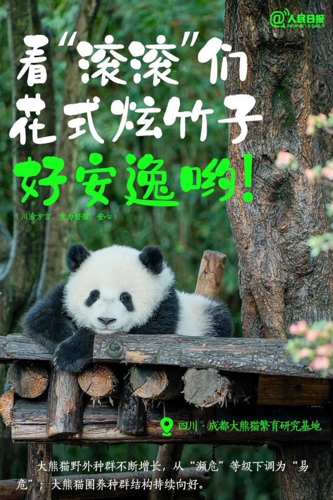这就是中国人的顶级浪漫 人与自然和谐共生