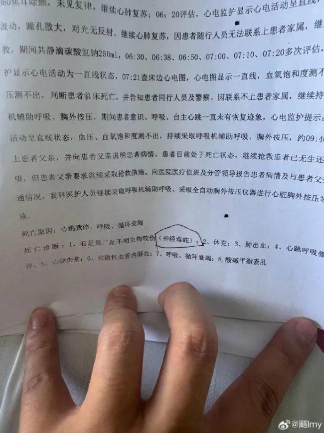 被咬傷身亡女子家屬：確認為毒蛇咬傷