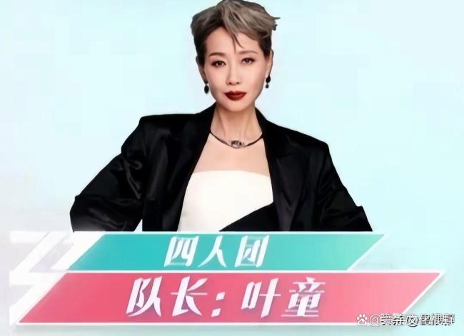 倪萍拒绝参加《乘风2026》 打破年龄焦虑的勇敢冒险