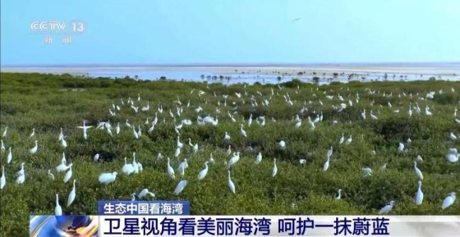 9图看海洋治理的中国方案 美丽海湾建设进展