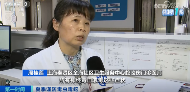 上海醫(yī)院接診蛇咬傷事件增多 如何辨別是否為毒蛇