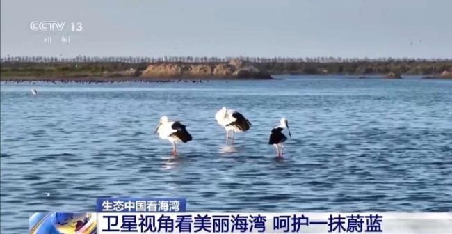 9图看海洋治理的中国方案 美丽海湾建设进展