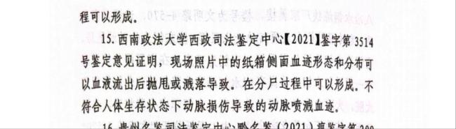 贵州“杀妻灭子”案当事人发声
