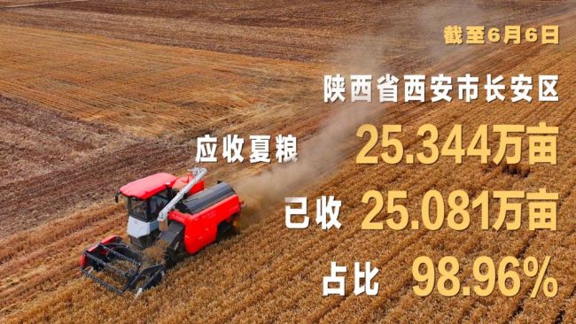 数”看各地丰收图景 夏粮丰收正当时
