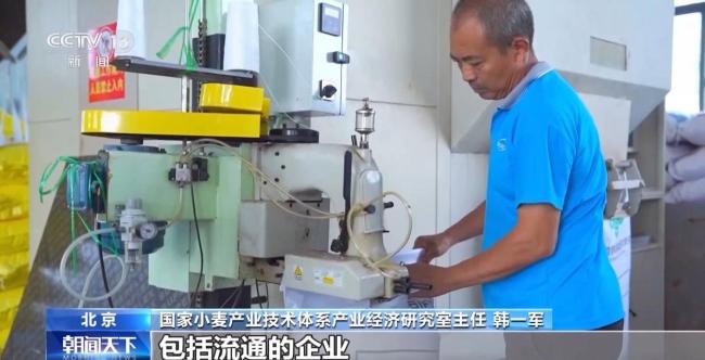 小麦市场价格有望稳中有升