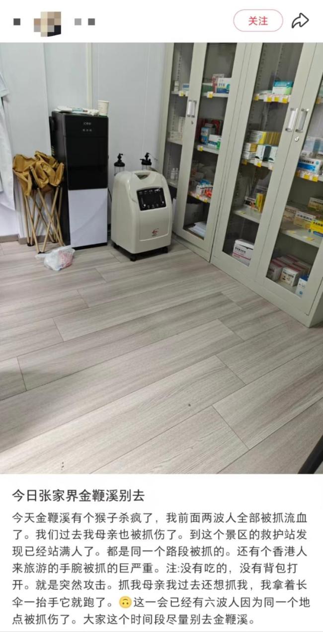 張家界景區(qū)多名游客被猴抓傷 景區(qū)提醒勿主動投喂