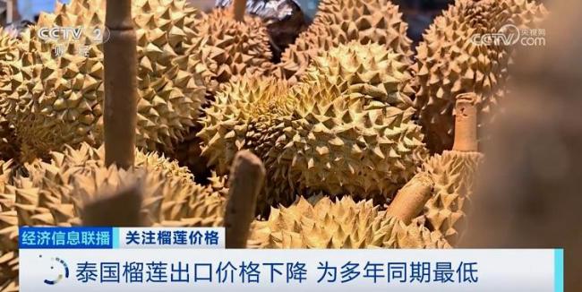 榴蓮多年來最低價(jià)的背后是這些原因！
