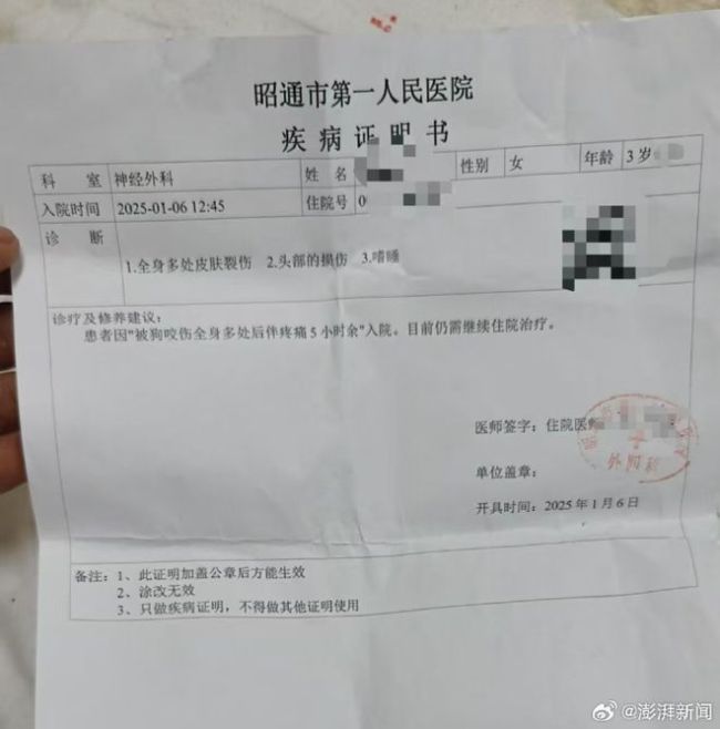 狗闖進村民家中咬女童被打死 農(nóng)村犬患治理困局