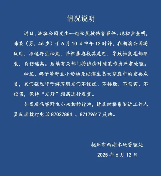 杭州西湖通報游客粗暴拖拽松鼠致其受傷