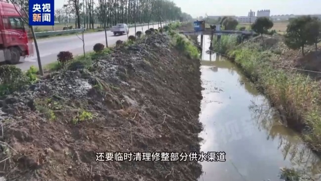 记者追踪安徽蚌埠秧苗成批死亡真相 沟渠水被污染