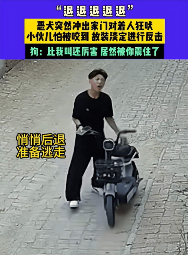恶犬狂吠小伙大喊退退退 临危不乱显神威
