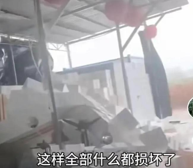湛江：全紅嬋老家刮臺風(fēng),，百畝果園損失慘重，全爸：心好痛,、受不了,！農(nóng)民看天吃飯?zhí)y