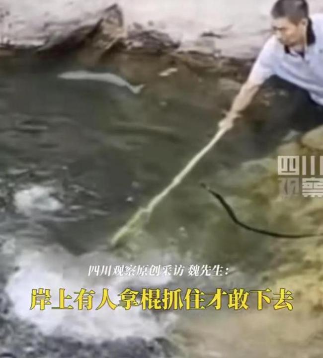 男孩野泳溺水沉底近半小时身亡 好心人施救未果