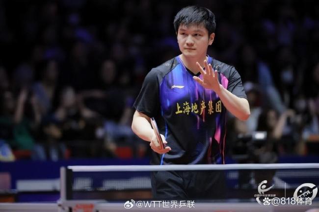 閆安說樊振東是絕對主力 王者歸來證明實力