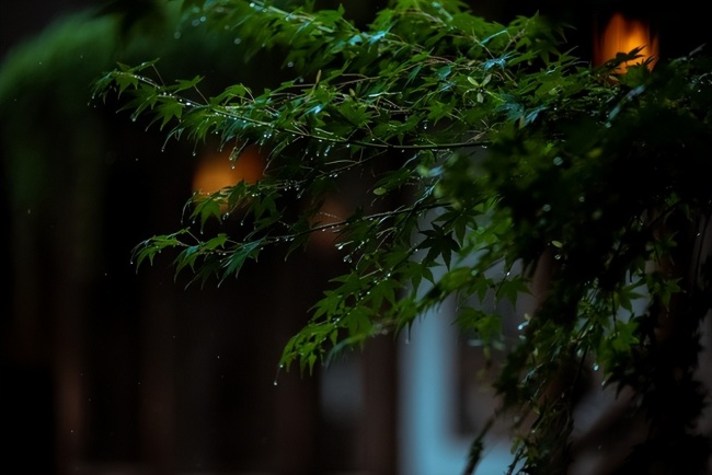 “公夏干,，母夏潮”,，夏至當(dāng)天分公母，今年夏天是旱是澇,？