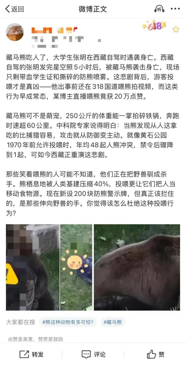 當(dāng)?shù)乇僦{大學(xué)生遭熊襲擊遇難