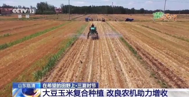 各地夏粮丰收有“粮”方 整村托管促增产