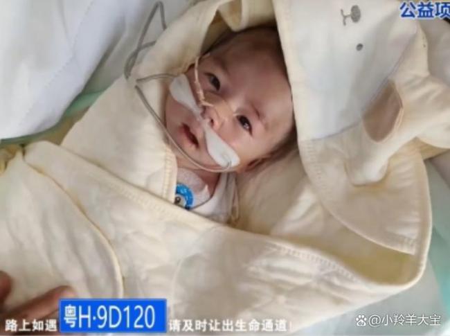 男子將重癥孩子從南昌轉(zhuǎn)運(yùn)到上海 跨越1600公里的生命接力