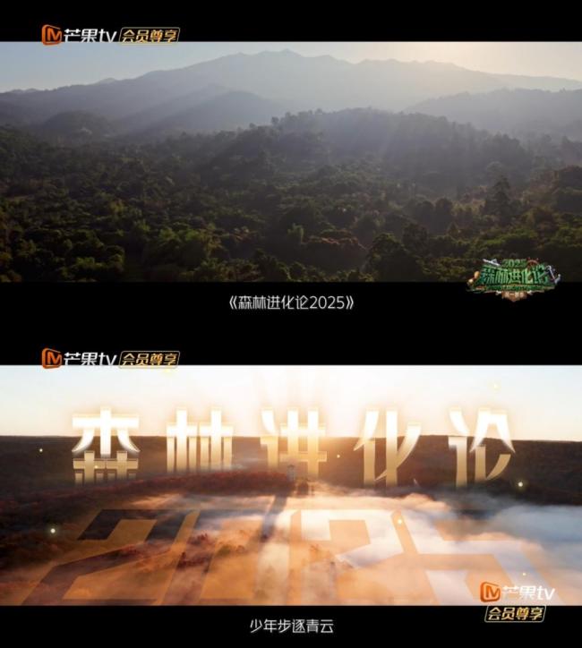 森林进化论 新老玩家集结待战