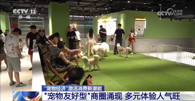 爱宠人士出行游玩全升级 开启“携宠出行”新体验