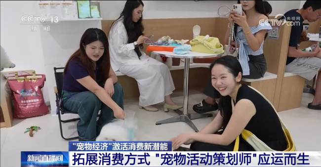 爱宠人士出行游玩全升级 开启“携宠出行”新体验