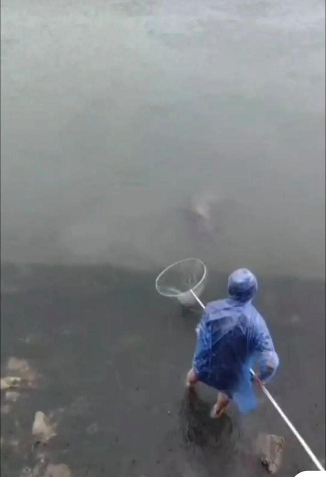 男子暴雨釣上72斤石斑魚3000元賣出 網(wǎng)友炸鍋了