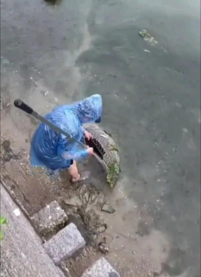 男子暴雨钓上72斤石斑鱼3000元卖出 网友炸锅了