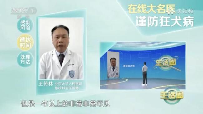 被猫狗抓伤后及时就医 牢记这两步操作