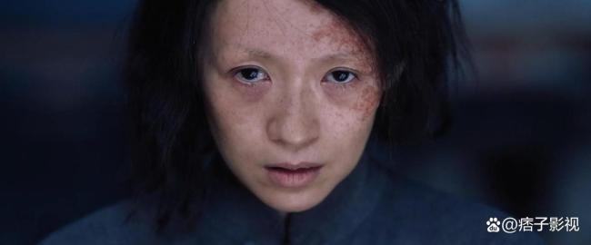 女性视角深度解析《酱园弄》 暴力与沉默的隐喻