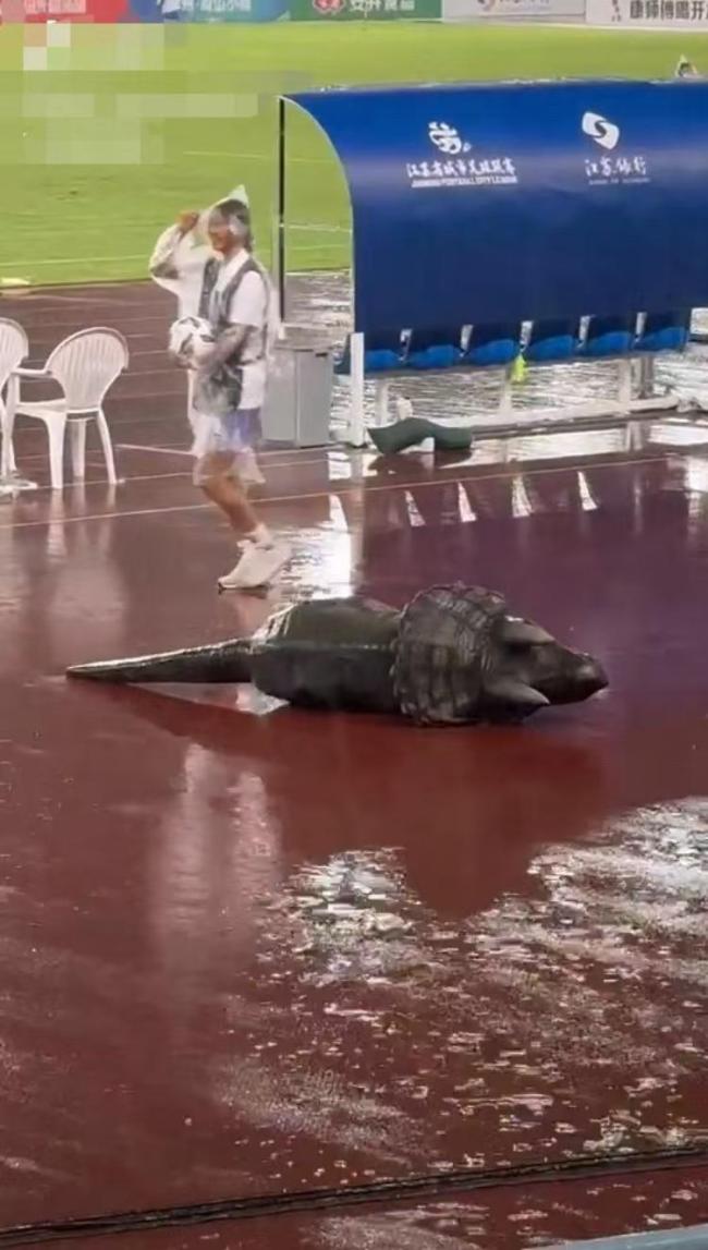 常州氣暈了一只小恐龍