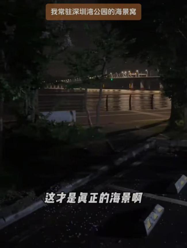 深圳程序员爸爸“车居”3年多 公园露营引热议