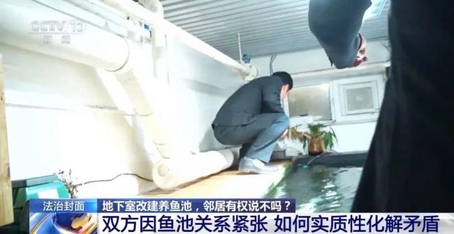 北京一男子将地下室改成锦鲤池，楼上邻居要求彻底拆除 养鱼池引发邻里纠纷